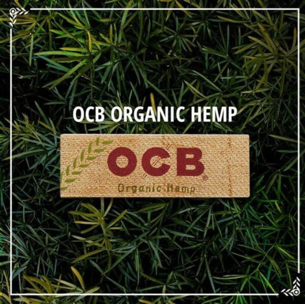 (5340) Ocb Orgánico 1 1/4 Caja 25 Lib. x 50 Hojas